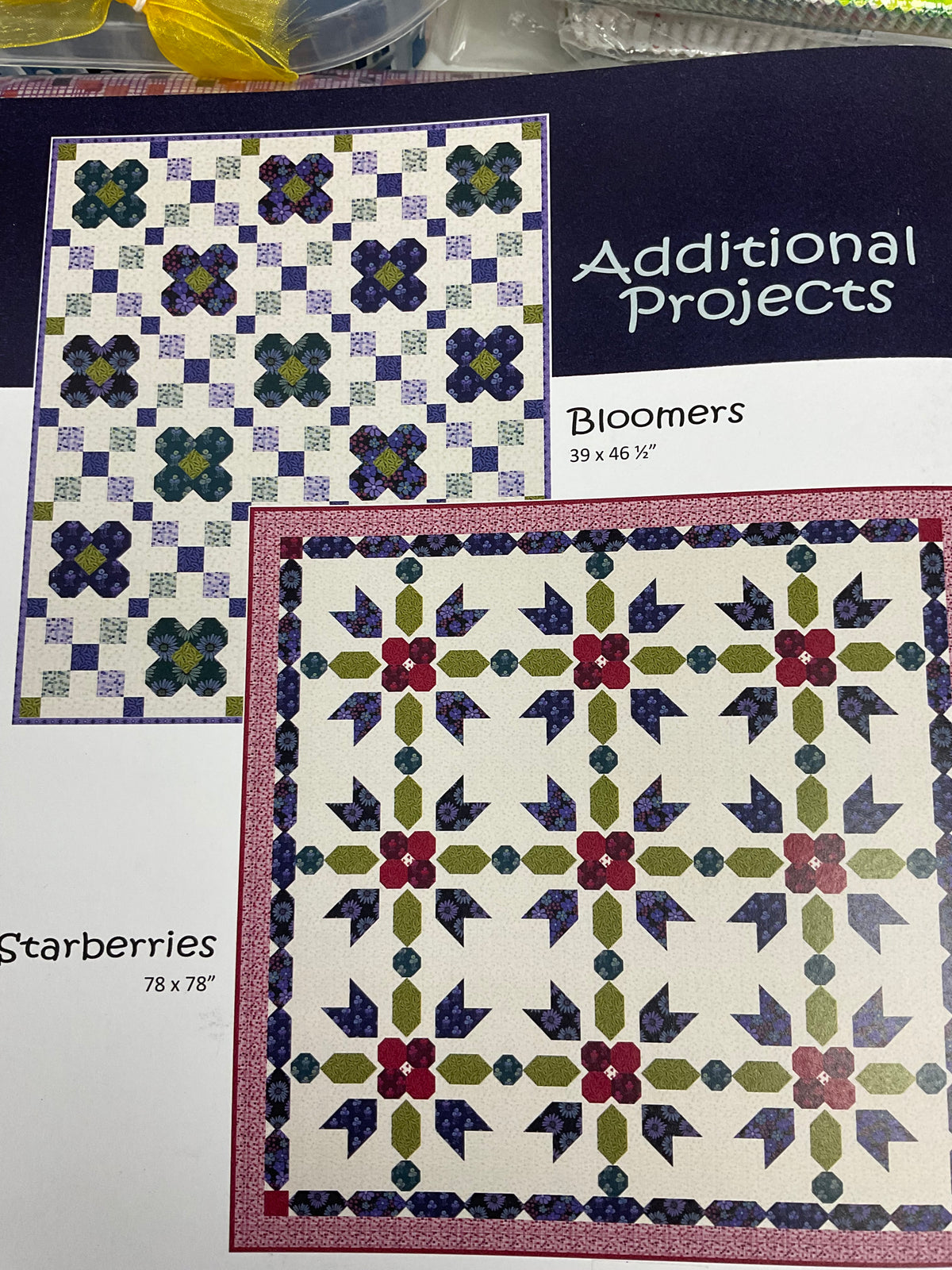 “Fresh Picked” Block of the Month Kit